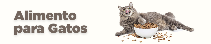 Alimento para gatos