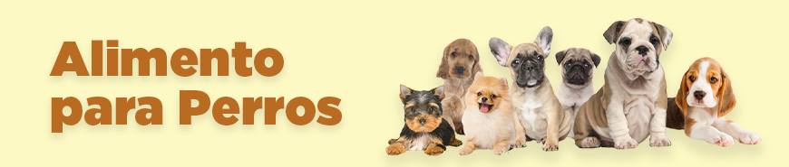 Alimento para perros