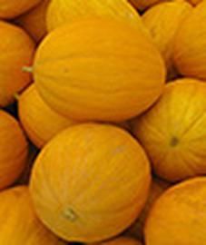 Melon Amarillo