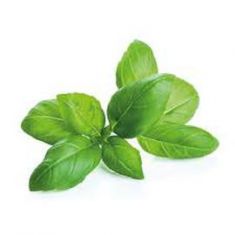 Albahaca (Paquete)