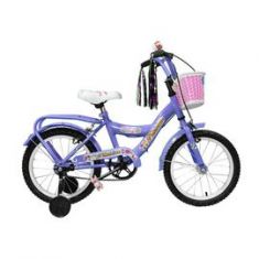 Bici Princess Con Canasto
