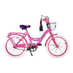 Bici Princess Con Canasto