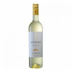 Vino Sauvignon Blanc