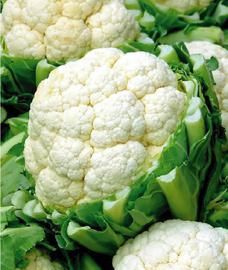Coliflor