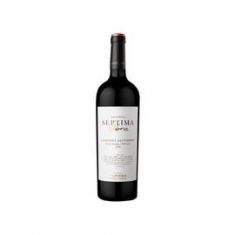 Vino Tto Obra Cabernet