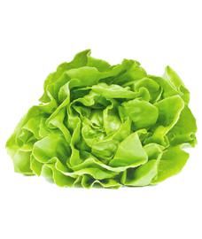 Lechuga Manteca Por Kg